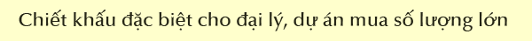 chiet-khau-du-an