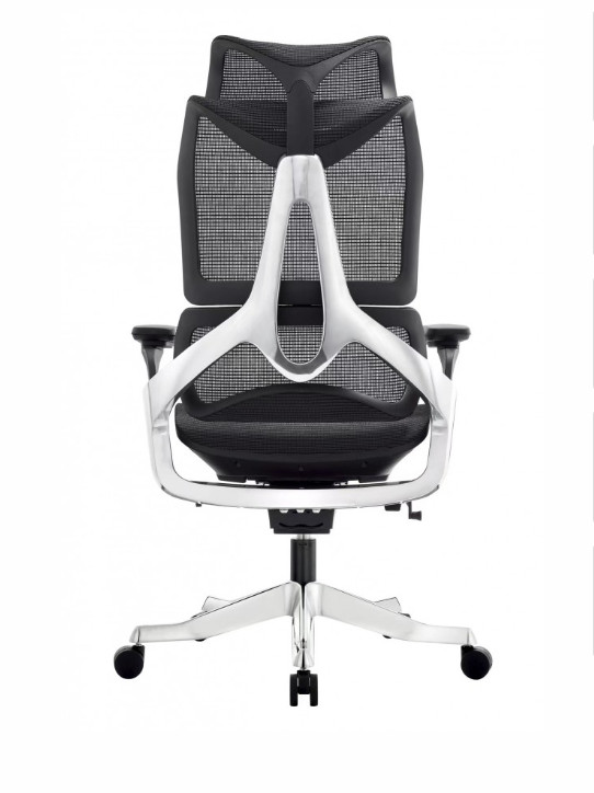 GHẾ GIÁM ĐÓC CÔNG THÁI HỌC