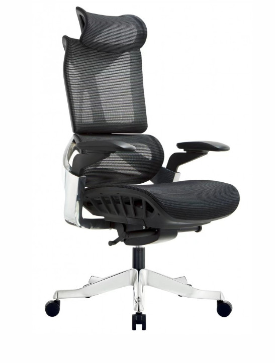 GHẾ GIÁM ĐÓC CÔNG THÁI HỌC