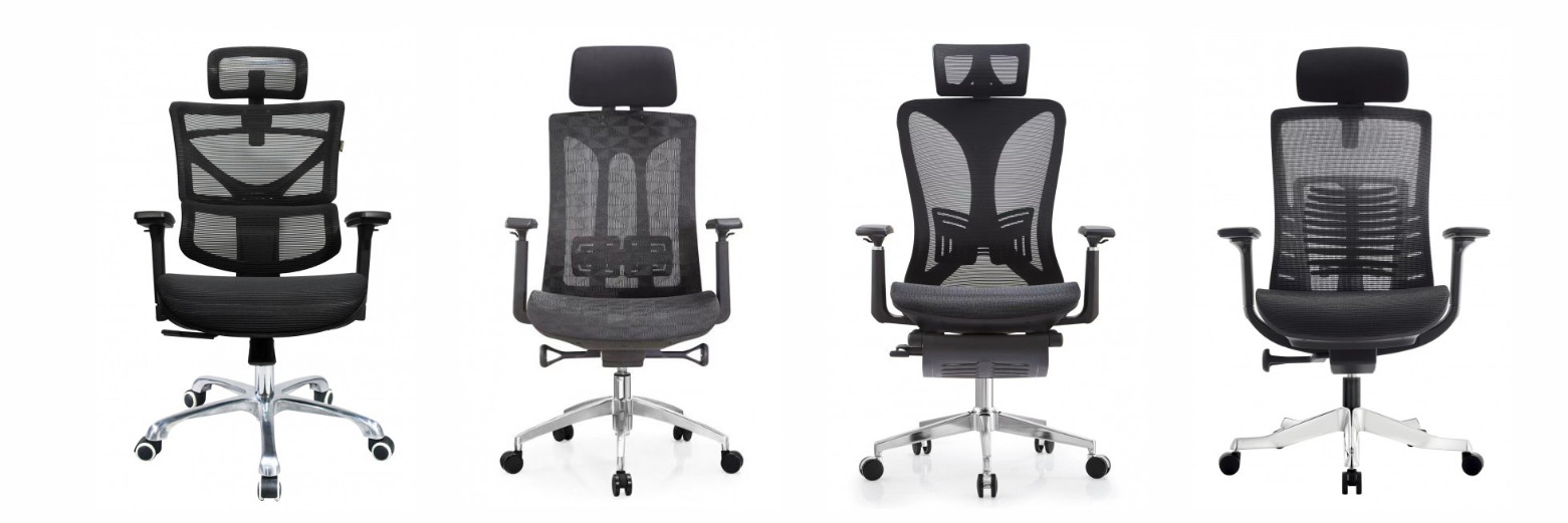 GHẾ GIÁM ĐÓC CÔNG THÁI HỌC