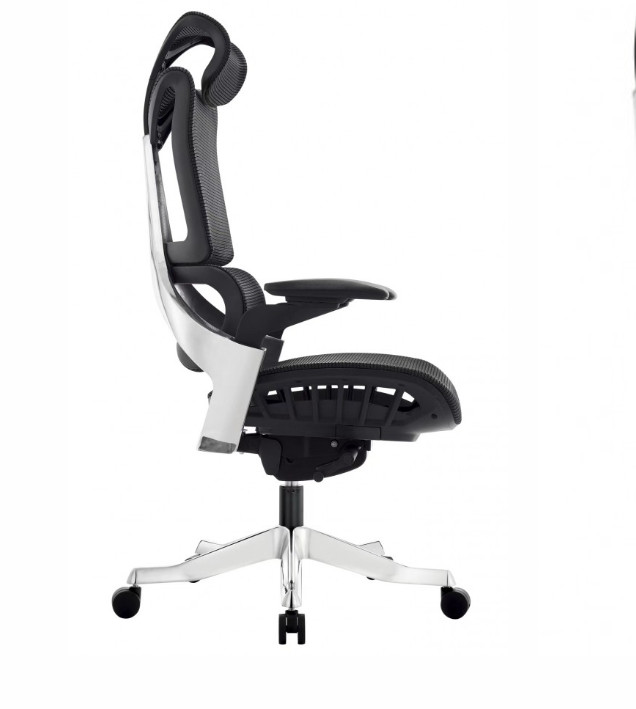 GHẾ GIÁM ĐÓC CÔNG THÁI HỌC