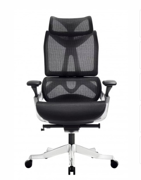 GHẾ GIÁM ĐÓC CÔNG THÁI HỌC