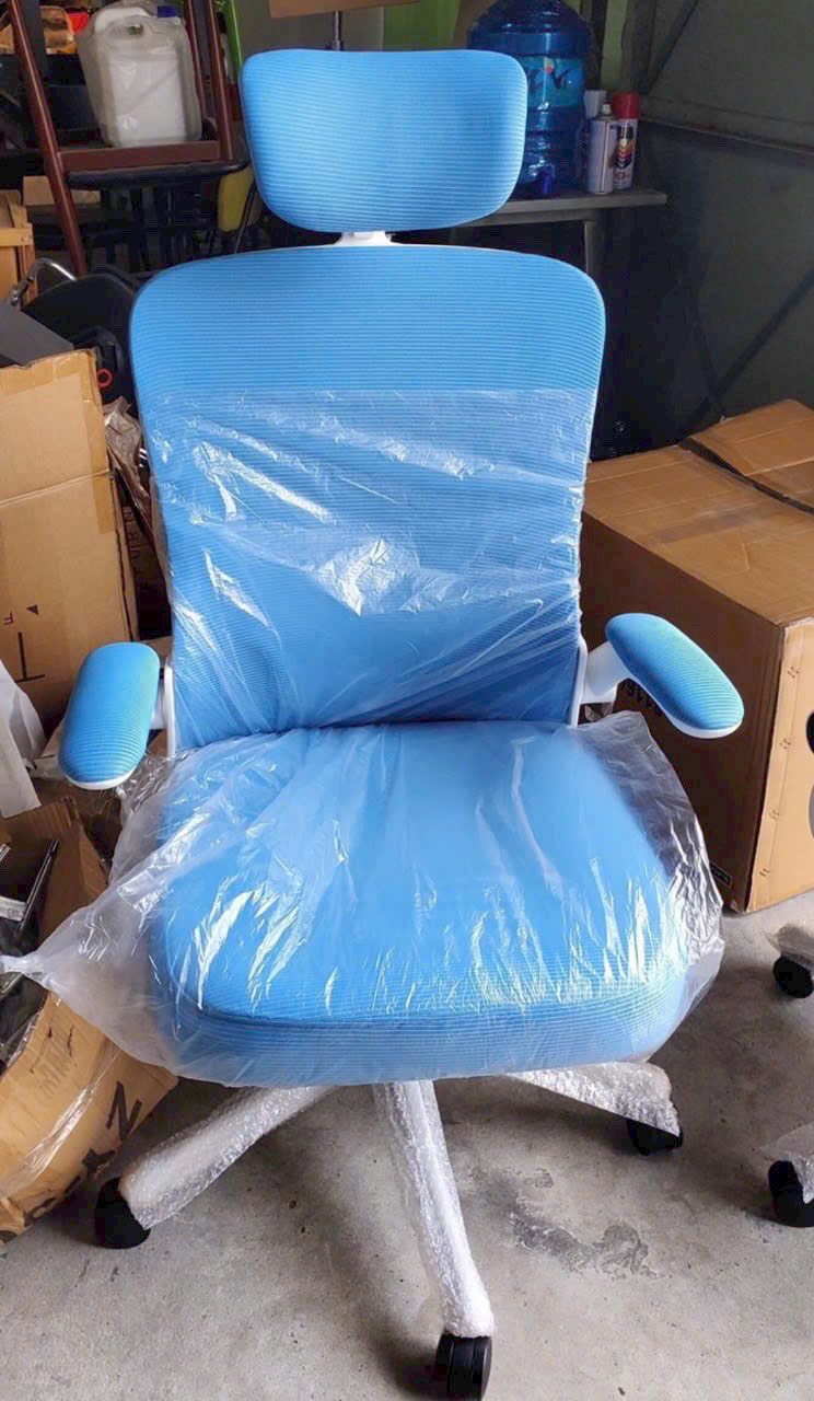 GHẾ CÔNG THÁI HỌC CÓ TỰA ĐẦU K08