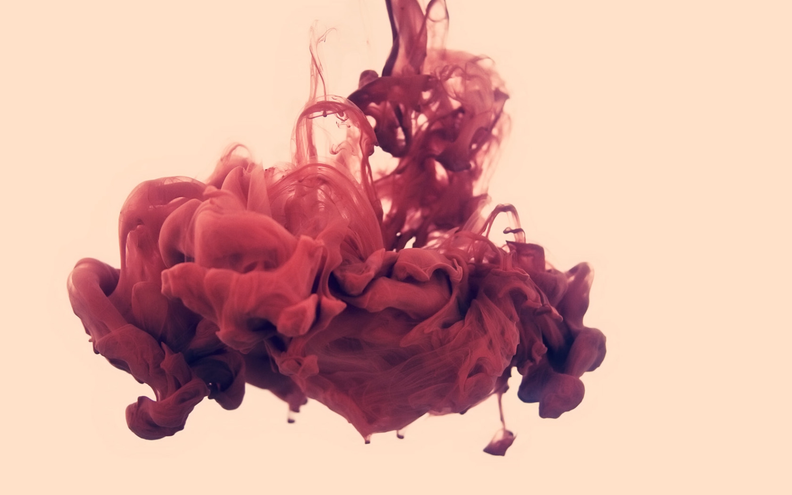 Ghế sự kiện PT607