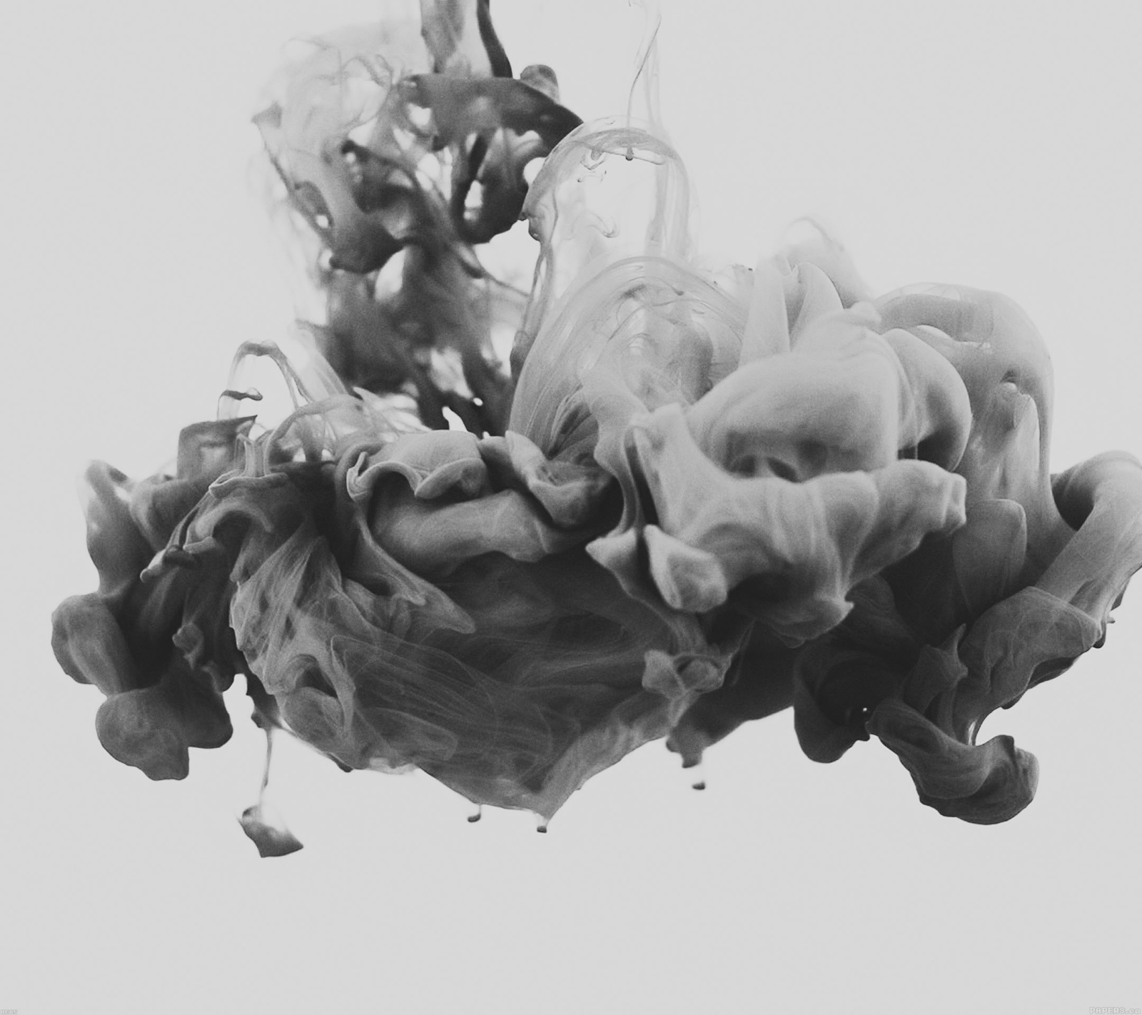 Ghế sự kiện PT607